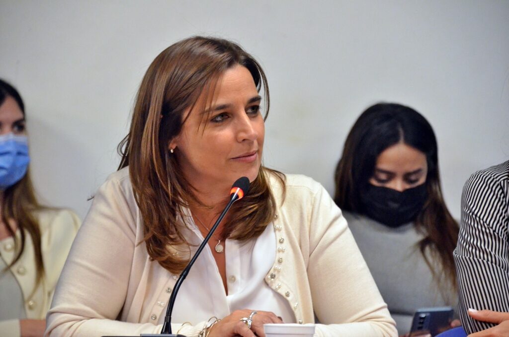 Dictamen favorable para el proyecto de Ficha Limpia