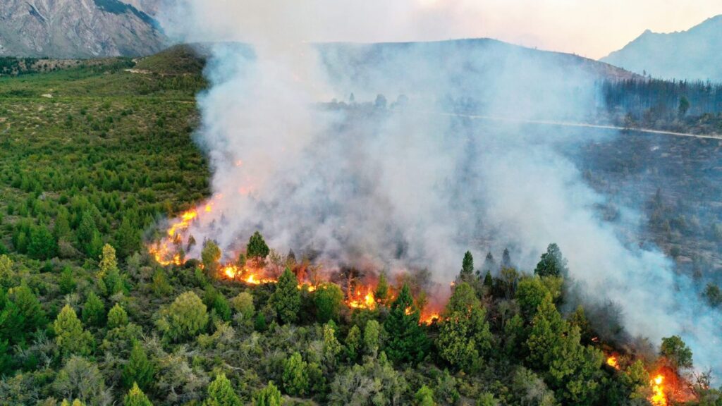 Falta de estrategia para el manejo de los incendios forestales y desprotección de la fauna silvestre