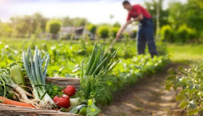 Pedido de informes para conocer el funcionamiento de las Buenas Prácticas Agrícolas