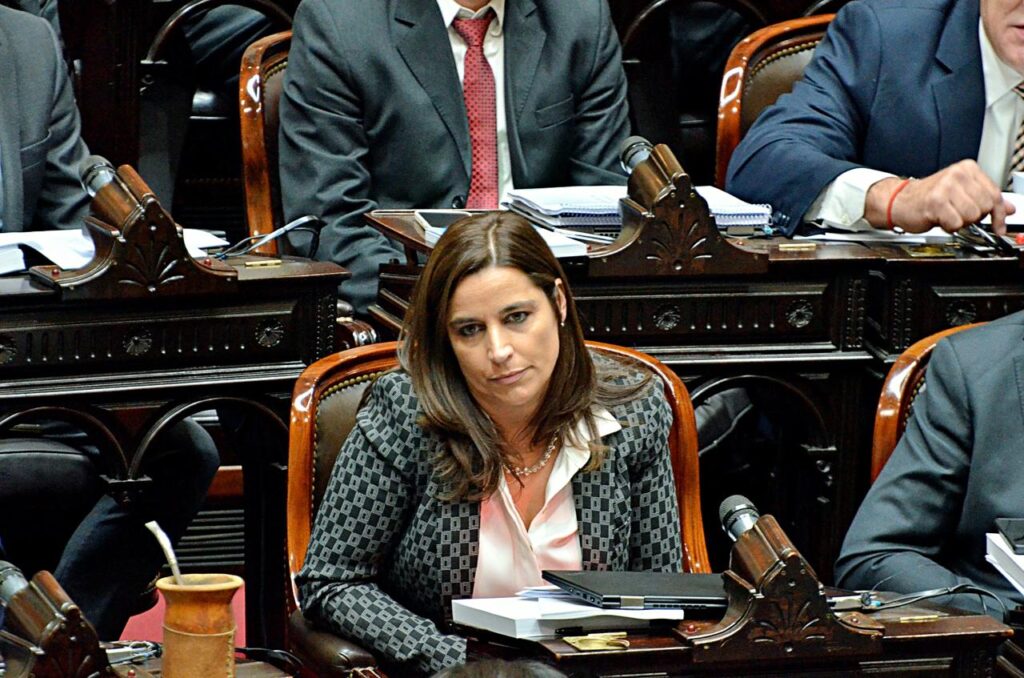 Proyecto oficial para Bajar la edad de imputabilidad Comienza el debate en la Cámara de Diputados de la Nación